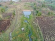 देवदूत साबित हो रहा अमृत सरोवर…