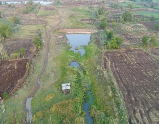 देवदूत साबित हो रहा अमृत सरोवर…