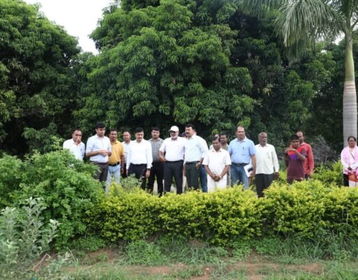 कलेक्टर ने शासकीय उद्यान रोपणी जमुनिया का किया औचक निरीक्षण