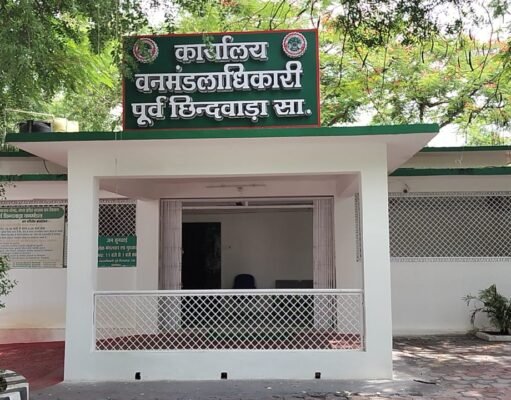 छिंदवाड़ा में वनपाल का रिश्वत लेते वीडियो हो रहा वायरल…..