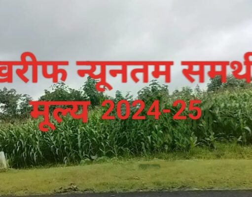 खरीफ फसलों के लिए न्यूनतम समर्थन मूल्य (एमएसपी) में वृद्धि…