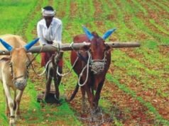 प्रधानमंत्री किसान सम्मान निधि योजना की 21वीं किस्त आ गई तारीख़ kisan