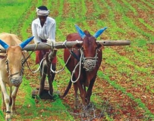 प्रधानमंत्री किसान सम्मान निधि योजना की 21वीं किस्त आ गई तारीख़ kisan