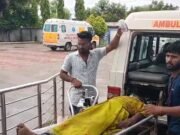 जहरीली जंगली साग खाने से मां-बेटी की मौत पिता और दो बेटे गंभीर