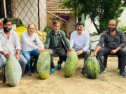 छिंदवाड़ा का एक गांव ऐसा जहां प्रति एकड़ 01 लाख का शुद्ध लाभ कमा रहे किसान ….