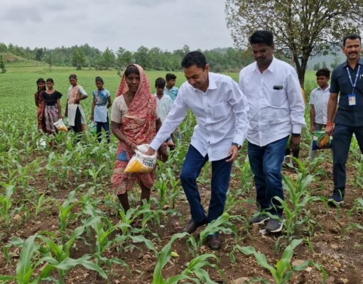 चुनावी रंग : नकुलनाथ पहुंचे खेत में यूरिया डालने….