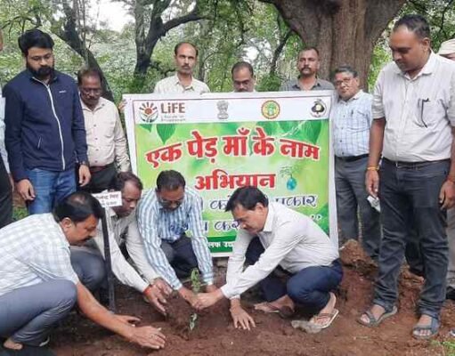 छिंदवाड़ा कलेक्टर ने अपने बंगले में की मसाला पार्क की शुरुवात