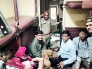 बाघिन के घायल शावकों को लाने चली स्पेशल ट्रेन