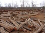 क्या वनरक्षक ने अधिकारियों से प्रताड़ित होकर की आत्महत्या ?