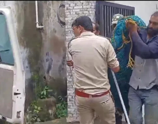 छिंदवाड़ा के परासिया में बंदरों के हमले से दर्जनभर लोग घायल, वन विभाग ने पकड़ा…