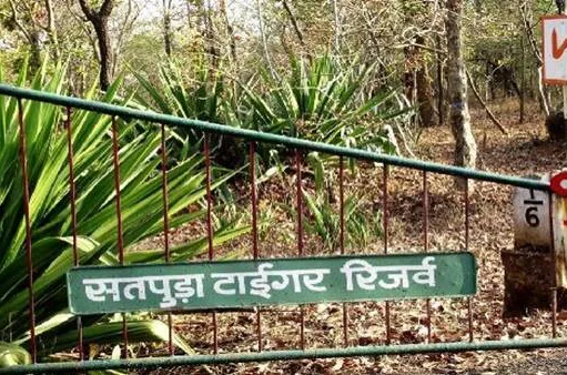 सावरवानी से खुलेगा सतपुड़ा टाइगर रिजर्व में बफर में सफर का दूसरा गेट