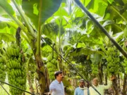 Success Story: आदिवासी किसान कमा रहा एक एकड़ में 4 लाख शुध्द मुनाफा….