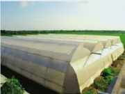 उद्यानिकी योजनाओं का लाभ प्राप्त करने के लिये आवेदन आमंत्रित