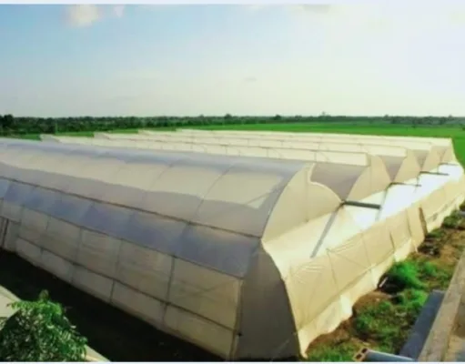 उद्यानिकी योजनाओं का लाभ प्राप्त करने के लिये आवेदन आमंत्रित