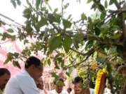 मिलेटस संगोष्ठी से मोटा अनाज का महत्व पहुंच रहा है जन जन तक