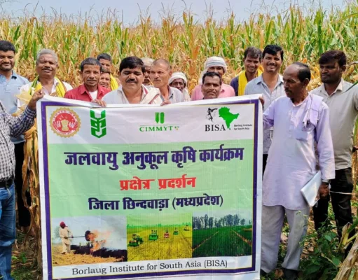 जलवायु अनुकूल कृषि का नया केंद्र बना छिंदवाड़ा