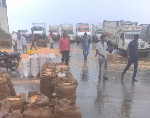 छिंदवाड़ा कृषि उपज मंडी में सैकड़ों क्विंटल अनाज पानी में बहा