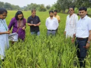 आई सी ए आर के वैज्ञानिकों द्वारा कृषि विज्ञान केंद्र की मॉनिटरिंग