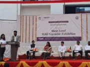 राज्य स्तरीय वन सब्जी महोत्सव: प्रकृति का उपहार