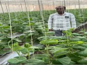 नेट हाउस से बढ़ी किसान निलेश की नेट इनकम