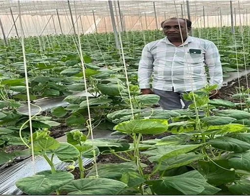 नेट हाउस से बढ़ी किसान निलेश की नेट इनकम