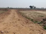 Chhindwara आदिवासियों की जमीन कन्वर्ट करा कर चांदी काट रहे भू माफिया….