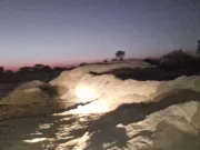 हर्रई में भाजपा विधायक प्रतिनिधि की गुंडागर्दी, युवक को बेरहमी से पिटवाया- रामजी उइके