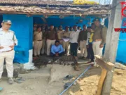 Chhindwara :वन्यजीव अपराध में वन विभाग की बड़ी कार्रवाई, आरोपी गिरफ्तार