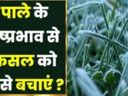 फसलों को पाले से बचाने मौसम वैज्ञानिकों एवं कृषि विभाग की किसानों को सलाह
