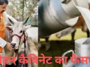 दुग्ध उत्पादकों की आय दोगुना करने राज्य सरकार ने उठाया महत्वपूर्ण कदम…