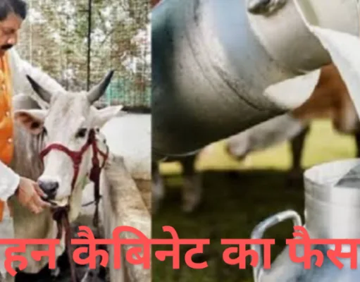 दुग्ध उत्पादकों की आय दोगुना करने राज्य सरकार ने उठाया महत्वपूर्ण कदम…