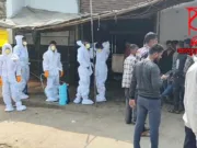 छिंदवाड़ा में बर्ड फ्लू का खतरा: प्रभावित क्षेत्र घोषित, सख्त प्रतिबंध लागू…