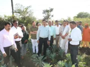 Chhindwara केल की खेती से किसान ने कमाए करोड़ों, नवाचार को देखने ग्राम उमरड पहुंचे कलेक्टर