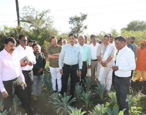 Chhindwara केल की खेती से किसान ने कमाए करोड़ों, नवाचार को देखने ग्राम उमरड पहुंचे कलेक्टर