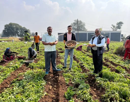 Chhindwara आलू की कॉन्ट्रेक्ट फार्मिंग से मालामाल हुये किसान …