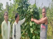 Chhindwara बंजर जमीन पर प्राकृतिक खेती अपनाकर कृषक अशोक साहू ने रचा सफलता का इतिहास