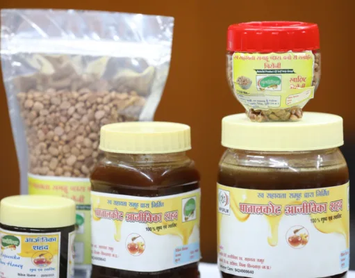 पातालकोट आजीविका उत्पाद ऑनलाईन मार्केटिंग प्लेटफार्म” का हुआ शुभारंभ