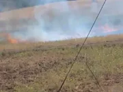 नरवाई जलाने पर सात किसानों पर मामला दर्ज…