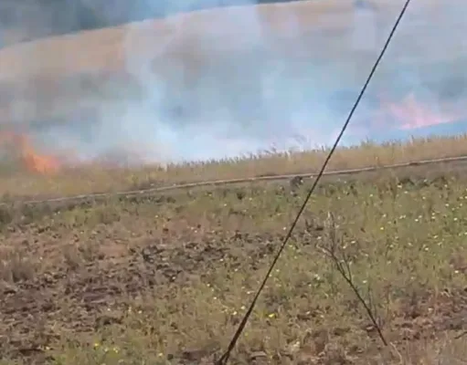 नरवाई जलाने पर सात किसानों पर मामला दर्ज…