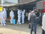 छिंदवाड़ा में बर्ड फ्लू का खतरा: 3 माह तक चिकन और पॉल्ट्री उत्पादों की बिक्री पर रोक