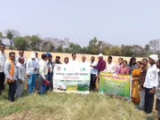 Chhindwara जीरोटिलेज तकनीक से गेहॅॅू की उन्नत किस्म DBW-187 (करण वंदना) का उत्पादन 73.9 क्विटल प्रति हेक्टेयर मिला,किसान हुए मालामाल …