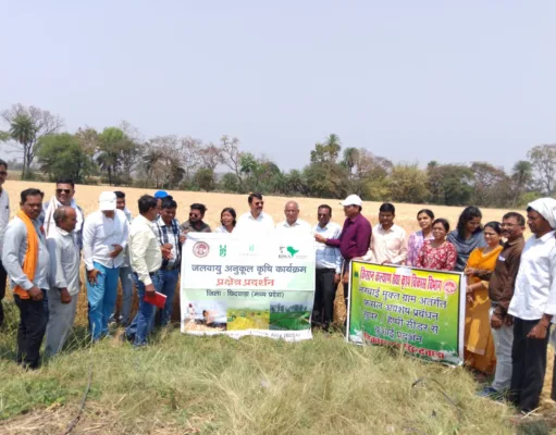 Chhindwara जीरोटिलेज तकनीक से गेहॅॅू की उन्नत किस्म DBW-187 (करण वंदना) का उत्पादन 73.9 क्विटल प्रति हेक्टेयर मिला,किसान हुए मालामाल …