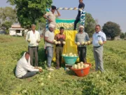 chhindwara के किसान पुनाराम ने एक हेक्टेयर से कमाए 3 लाख…