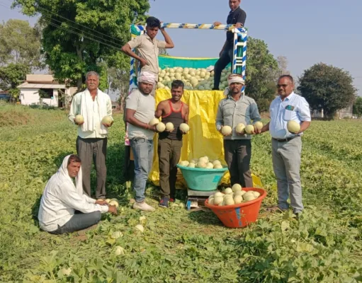 chhindwara के किसान पुनाराम ने एक हेक्टेयर से कमाए 3 लाख…