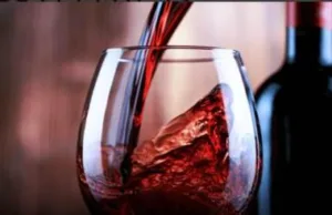 एमपी की नई शराब नीति 2026: नहीं खुलेंगी नई दुकानें, ई-नीलामी से खत्म होगा ठेकेदारों का एकाधिकार