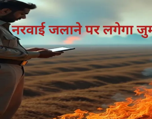 खेतों में फसल अवशेष जलाना प्रतिबंधित, नियम तोड़ने पर लगेगा 15000 तक जुर्माना…