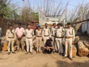 खवासा टोल के पास अवैध सागौन परिवहन करते ट्रक पकड़ा, एक आरोपी गिरफ्तार, वाहन जब्त