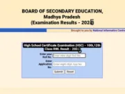 MP बोर्ड 10वीं-12वीं का रिजल्ट घोषित :स्कूल शिक्षा विभाग ने किया जारी लिंक,मोबाइल पर परिणाम देखने के लिए लिंक पर क्लिक करें…..