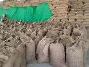 किसानों को समय पर नहीं मिल रहा है समर्थन मूल्य पर गेहूं का भुगतान