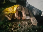 अवैध रूप से ले जाई जा रही 22 नग सागौन की लकड़ी सहित आरोपी गिरफ्तार